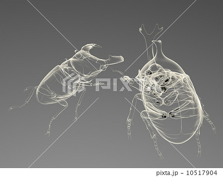 カブトムシ対クワガタのイラスト素材
