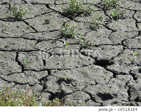 乾燥した大地 10518164
