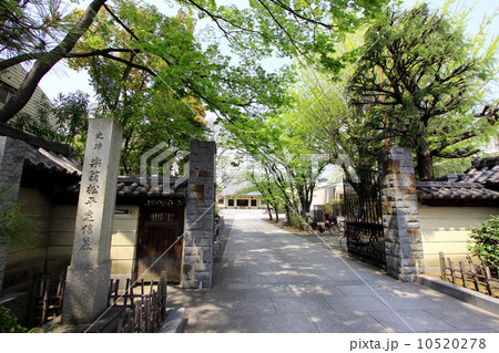 松平定信公の墓 10520278