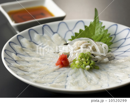 ふぐ刺し ふぐ刺し 10520299