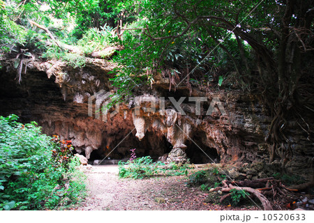 ジャネー洞 10520633