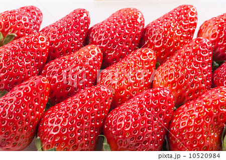 苺　べにほっぺ 10520984