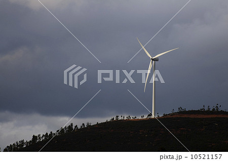 solitary windmill solitary windmill 10521157