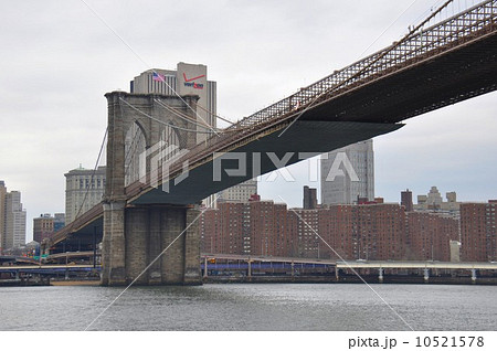 ブルックリン 10521578