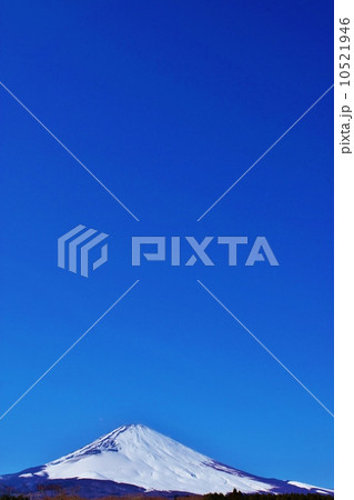 日本の自然風景・蒼空に冠雪富士・縦位置 日本の自然風景・蒼空に冠雪富士・縦位置 10521946
