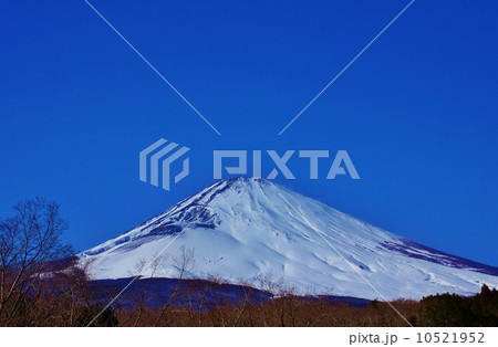 日本の自然風景・冬枯れの雑木の向こうに冠雪富士・横位置 10521952