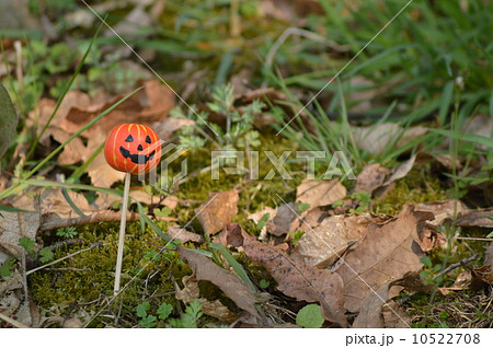 手作りハロウィンガーデンピックの写真素材