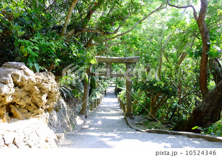 霊場シルミチュー 10524346