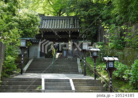 京都長楽寺の総門風景 10524385