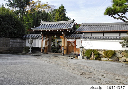 京都霊雲院の総門風景 10524387