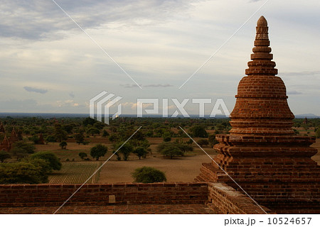 バガンの夕日 10524657
