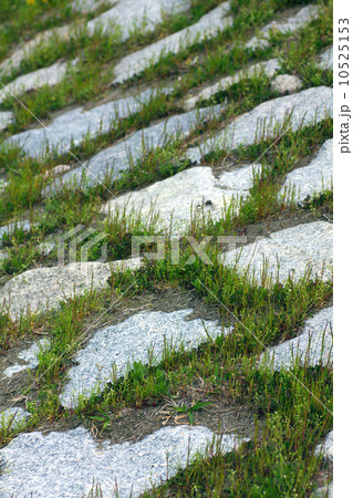 護岸。 護岸。 10525153