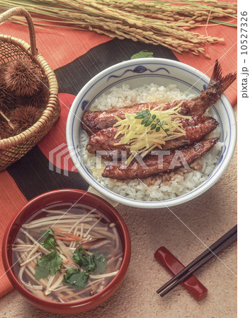 イワシの蒲焼き丼 10527326