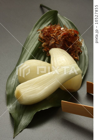 らっきょう　ちりめんじゃこ　箸休め　和食　白背景 10527855