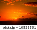 サンセット 10528561