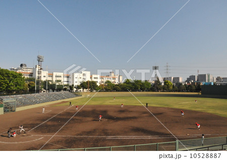 野球場 10528887