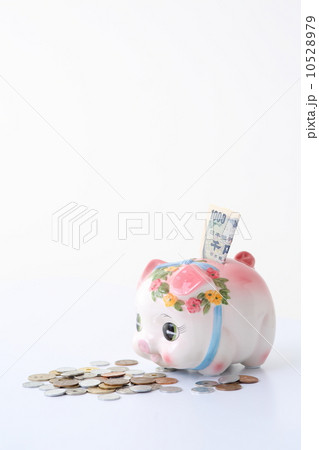 ピギーバンク 10528979