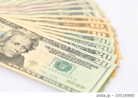 ドル紙幣 10528980