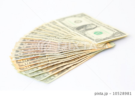 ドル紙幣 10528981