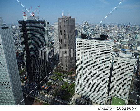 東京都庁からの眺望 10529607