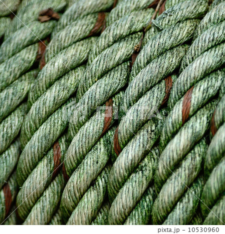 rope knots 10530960