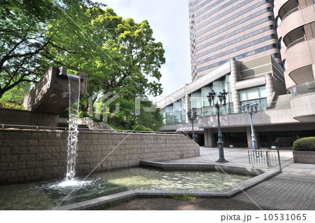 御殿山の新緑 10531065