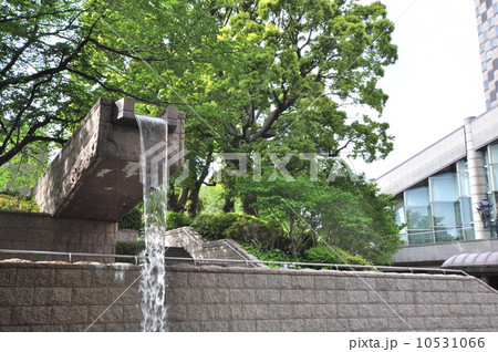 御殿山の新緑 10531066