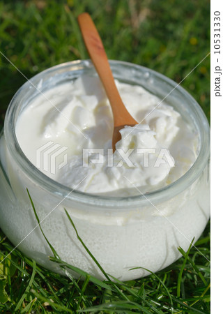 Yogurt 10531330