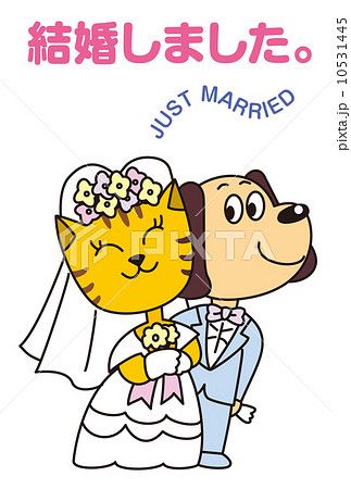 犬と猫の結婚挨拶状 犬と猫の結婚挨拶状 10531445