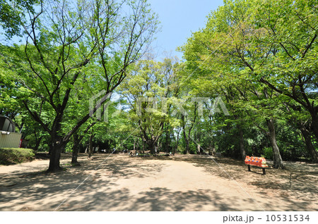 駒場野公園 10531534
