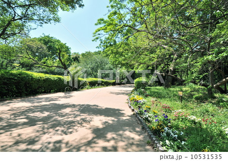 駒場野公園 10531535