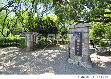 駒場野公園 駒場野公園 10531536