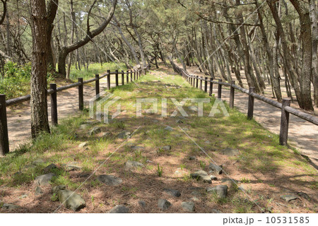 今津元寇防塁 10531585