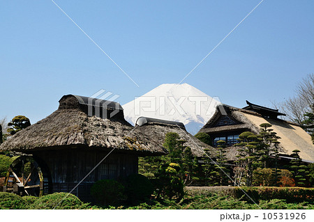 忍野八海 榛の木林民族資料館 忍野八海 榛の木林民族資料館 10531926