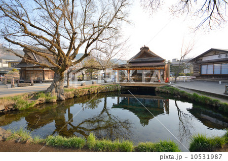 忍野八海　湧池 10531987