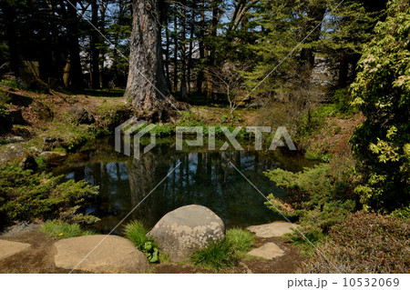 忍野八海　底抜池 10532069