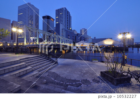 天王洲アイルの夜景 10532227