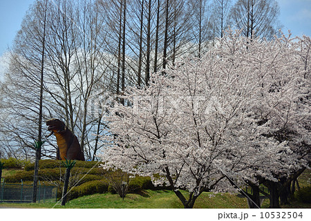 春の恐竜公園 10532504
