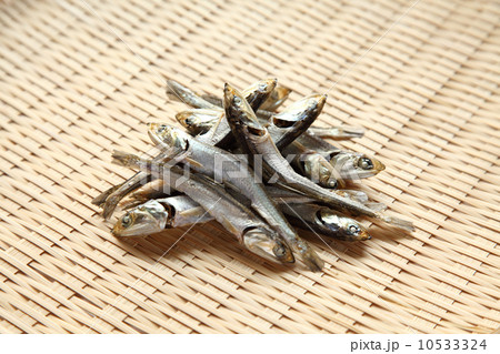 煮干し 10533324