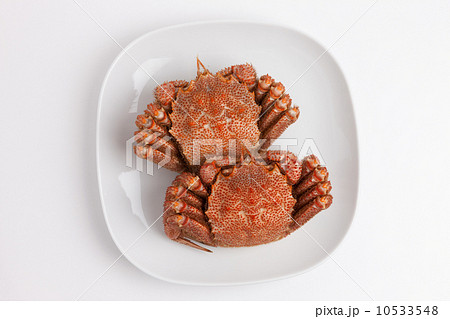 塩ゆでしたケガニ 10533548