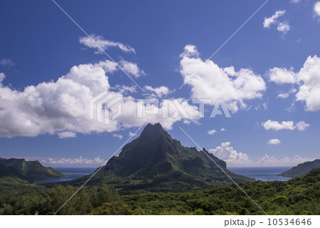 モーレア　ベルベデール展望台 10534646