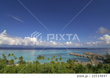 モーレア　トアテアの丘 10534647