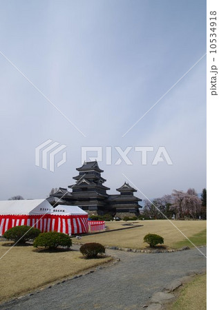 国宝 松本城 春の本丸庭園 国宝 松本城 春の本丸庭園 10534918