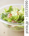 サラダ 10535090