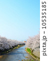 川岸の満開の桜【縦】 10535185