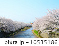 川岸の満開の桜【横】 10535186