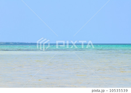 きれいな珊瑚礁の海 10535539