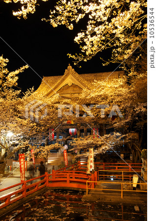 紀三井寺桜ライトアップの写真素材