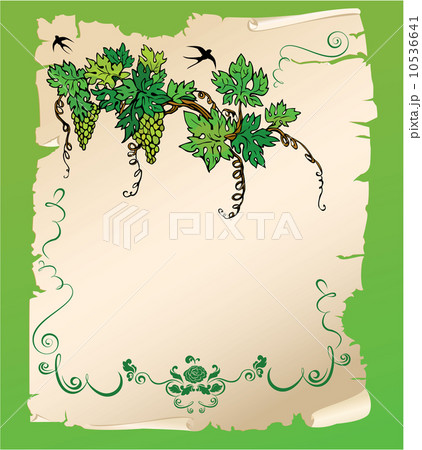 Hand drawn Branch of grapes on old paper scroll. Design for menu Hand drawn Branch of grapes on old paper scroll. Design for menu 10536641