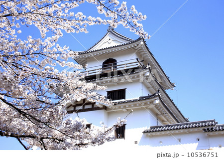 桜咲く白石城 10536751